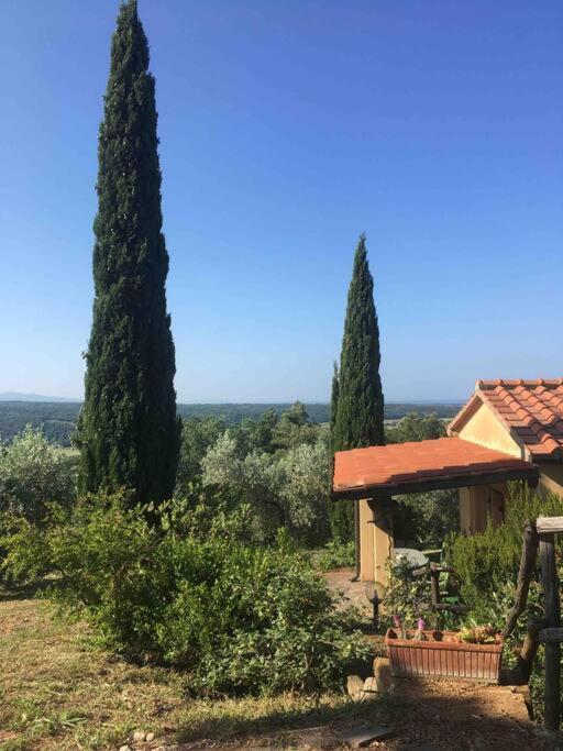 Casa Belvedere -Tranquillita Tra Bosco E Ulivi- Riparbella Exterior photo